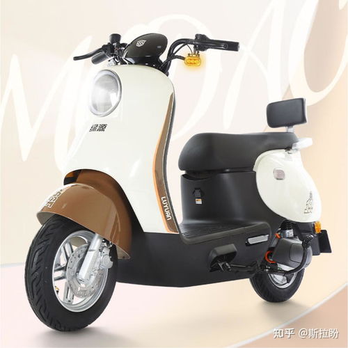 綠源公認(rèn)最好的三款電動車